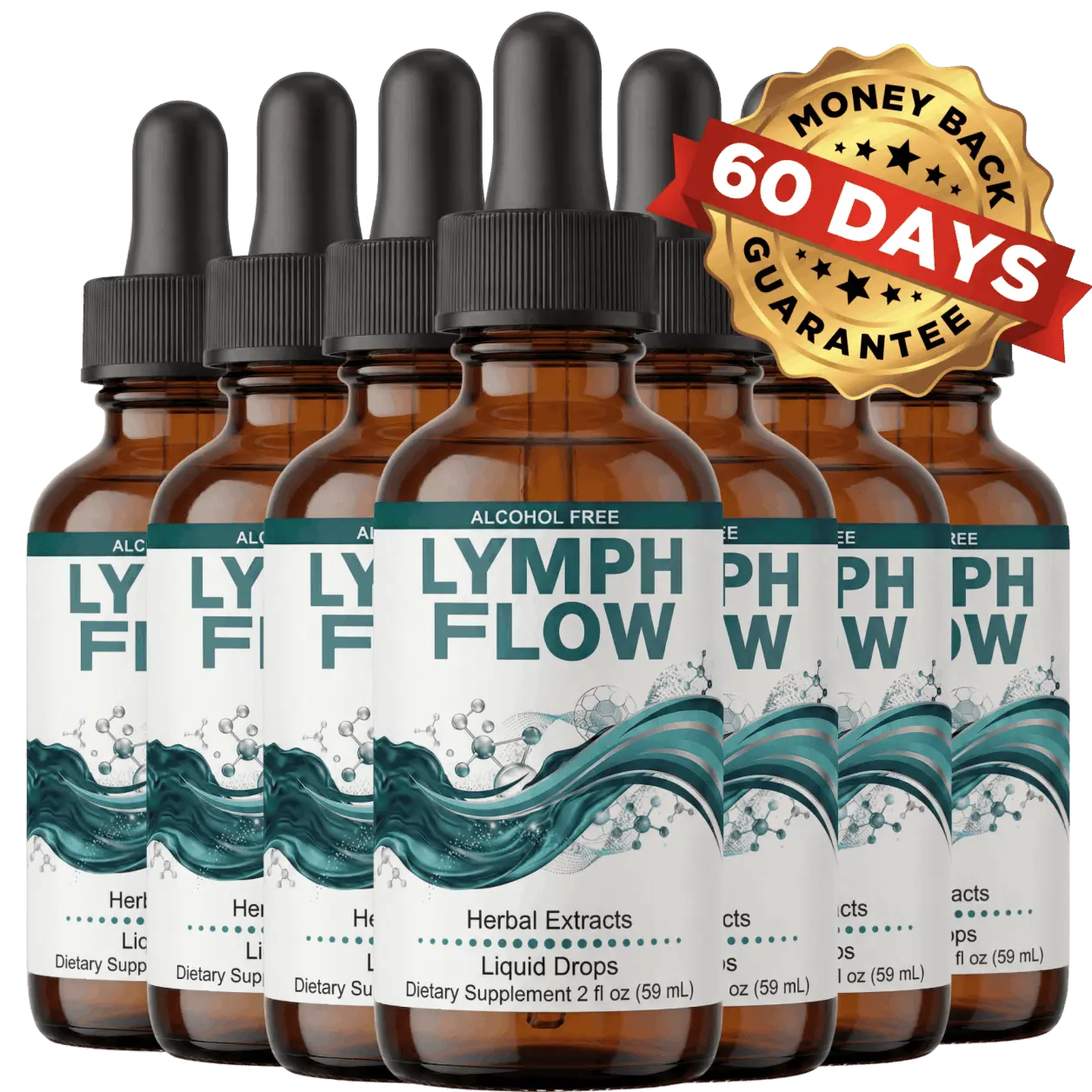 Lymph Flow